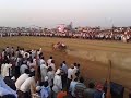 Lakshya bull rice in satara