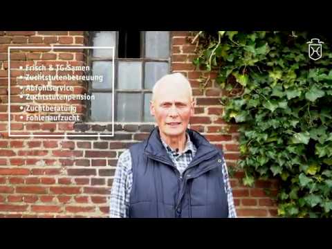 Holsteiner Hengststation - Löstrup