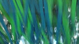 Getting the Surface Clean - Alex Shapiro