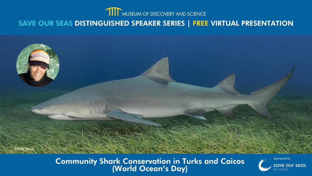 Save Our Seas Distinguished Speaker Series: Community Shark Conservation in Turks and Caicos