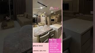 호치민 아파트 셀레스타라이즈 2룸 - 월세 임대 #호치민아파트 #호치민아파트월세 #베방부동산