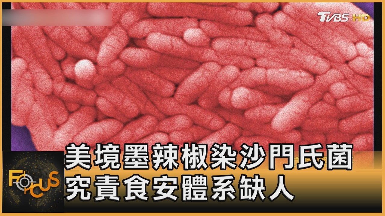 FOCUS全球新聞/美境墨辣椒染沙門氏菌 究責食安體系缺人