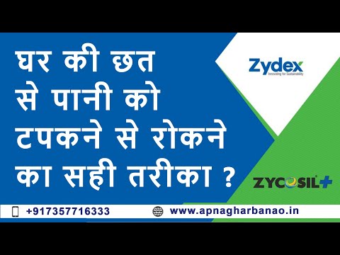 Zydex Zycoprime Plus