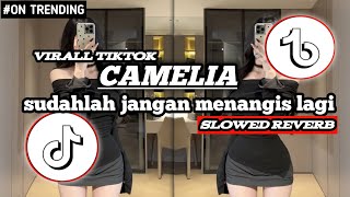 Download lagu ​🎧 DJ SUDAHLAH JANGAN MENANGIS LAGI (DJ CAMELIA) - Slowed & Reverb 2026 mp3