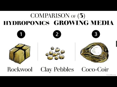 Comparison of 3 Hydroponics Grow Media