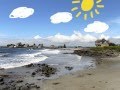Walcott- Vampire Weekend Lyric Video