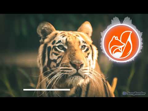 Roar X Eye of the Tiger Mashup