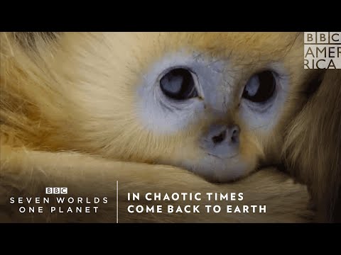 亂世佳人｜七大世界，一個星球｜週六晚9點首播｜BBC美國頻道。 (In Chaotic Times | Seven Worlds, One Planet | Premieres Saturday at 9pm | BBC America)