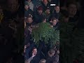Fans Go Ahead nemen KERSTBOOM mee naar stadion ??