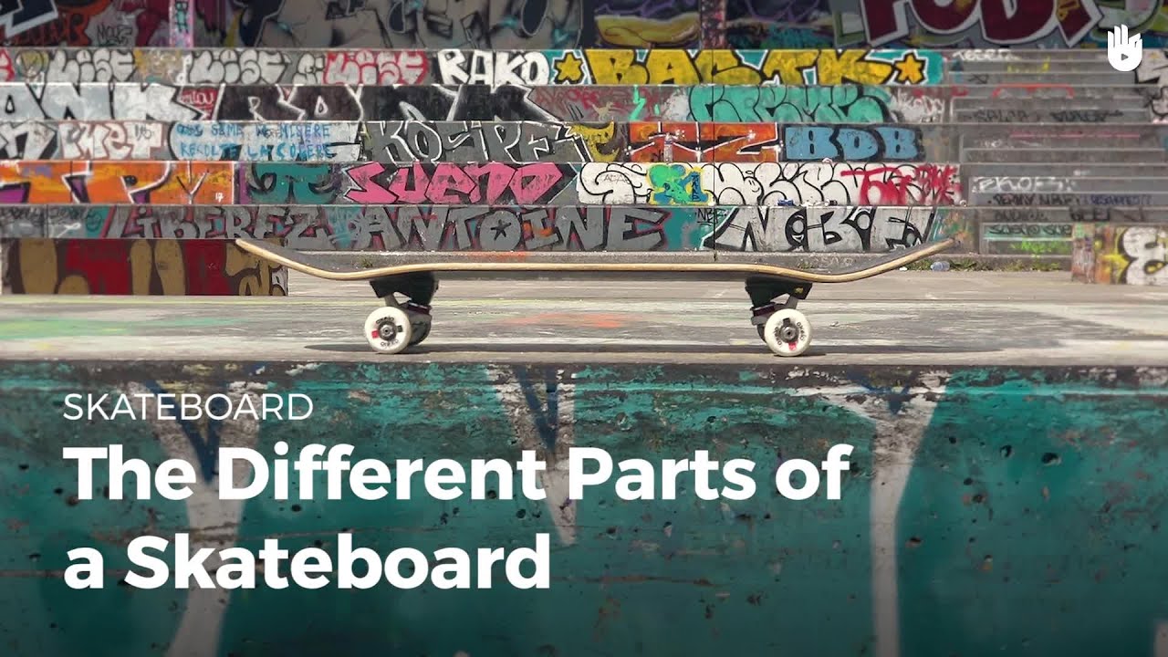 Learn the Different Parts of a Skateboard - Skateboarding | Sikana