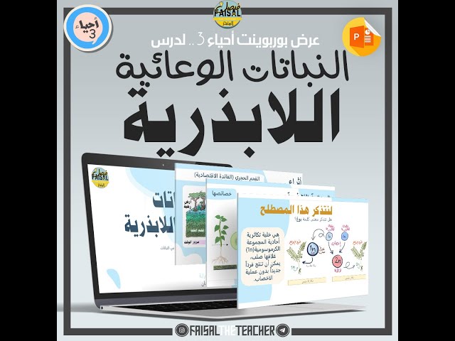 عرض لدرس النباتات الوعائية اللابذرية