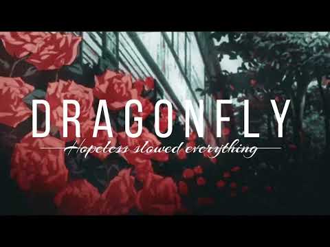 Dana and Alden Dragonfly | Slowed&Reverb | 𝖙𝖔 𝖕𝖊𝖗𝖋𝖊𝖈𝖙𝖎𝖔𝖓