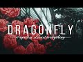 Dana And Alden Dragonfly Slowed Reverb 𝖙𝖔 𝖕𝖊𝖗𝖋𝖊𝖈𝖙𝖎𝖔𝖓