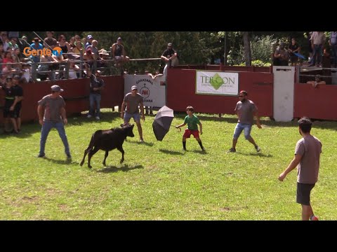 Clips do Picnic e Festa Brava de Gente da Nossa com chega dos toiros e bezzerada - Sept.16_23 - #4