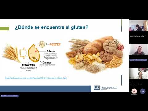 Capacitación Alimentos Libres de Gluten (ALG)