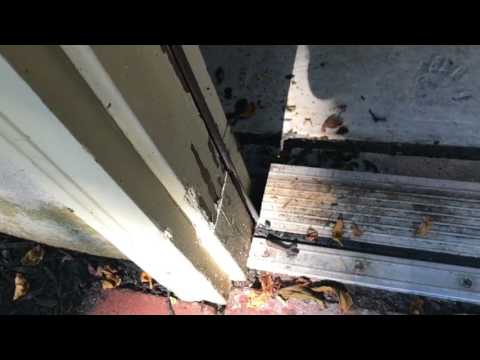 Homeowner Angry at Ants in Cranbury, NJ