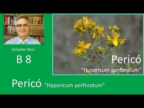 comment prendre hypericum perforatum