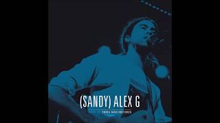 (Sandy) Alex G - Live at Third Man Records (vinyl rip)