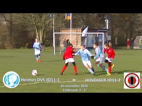 Samenvatting Hermes DVS JO11-1 -  HOVDJSCR JO11-2