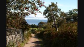 PICKETTYWITCH - SUMMERTIME FEELING.wmv