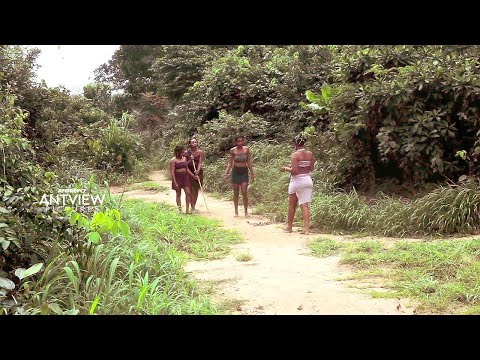 You Are Making The Biggest Mistake, If You Skip This Interesting Mind