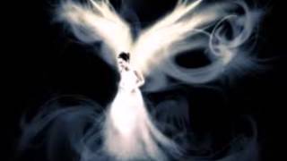 Jean-Jacques Goldman &quot; J&#39;ai peur de rien...&quot;