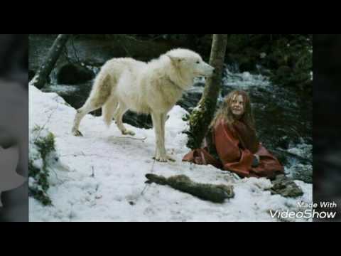 Survivre avec les loups *'