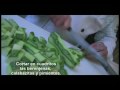 Ratatouille Promo