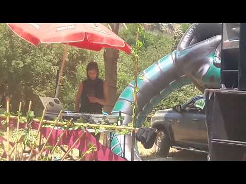 Tyndra in israel mushroom project (Israel)