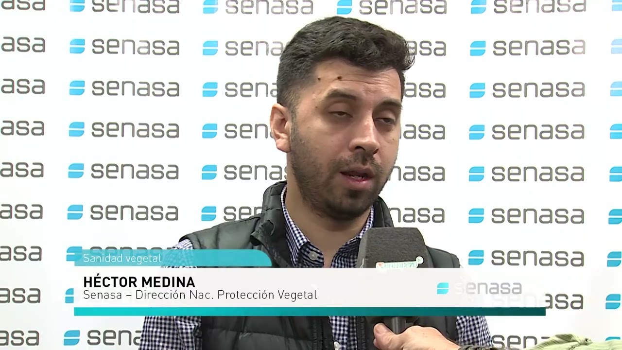 youtube video id=9dtzpr6aj3M