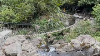 竹子湖-草山觀瀑吊橋健行路線