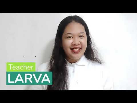 Larvaのプロフィール動画