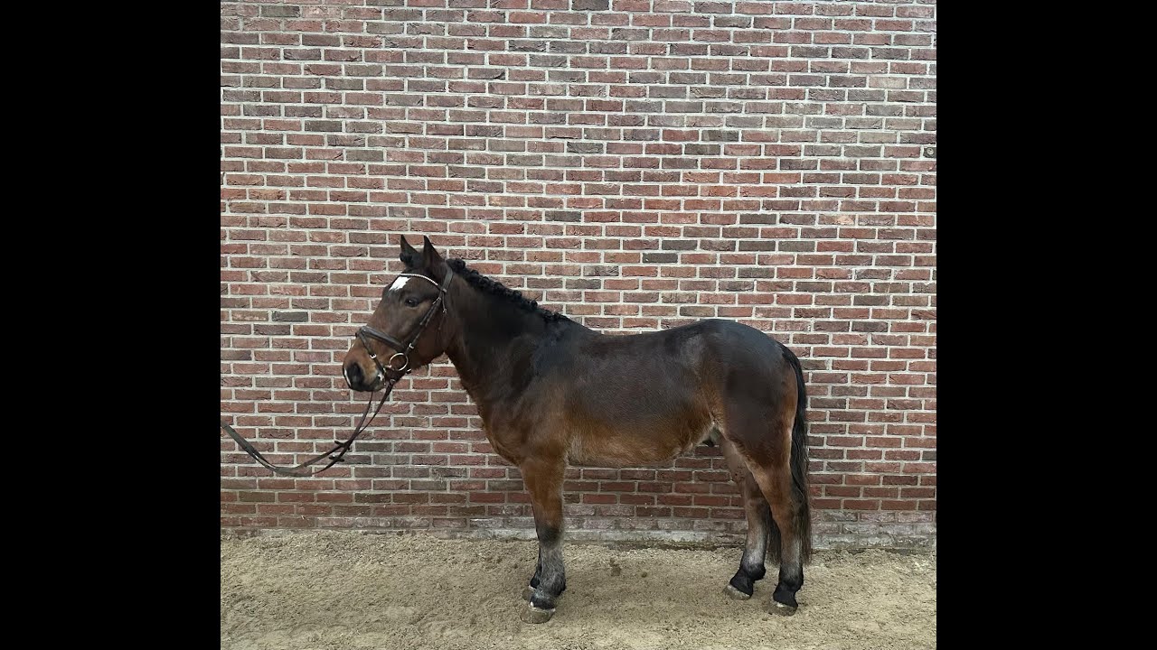 Bolero ☆ (UNKNOWN x UNKNOWN) video 2