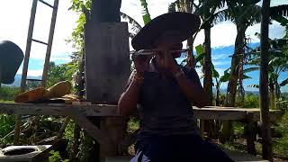 Download lagu Suling KAILI kota Palu mp3