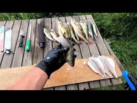 AHVENEN FILEERAUS | NÄIN FILEOIT AHVENEN | KUINKA TEET AHVEN FILEITÄ