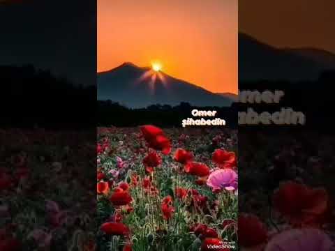 xewin û xeyalên min