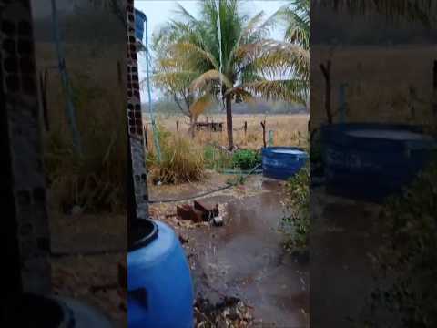 Chuva em Brejolândia-BA 20/10/25