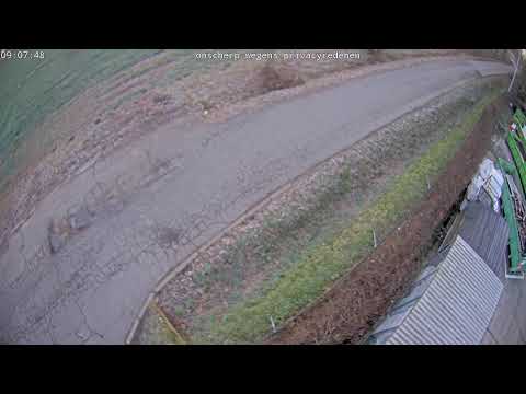 IOK - Containerpark - Geel