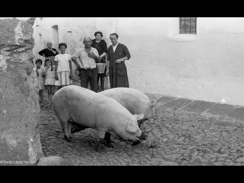 Caja Encargos 2ª Parte