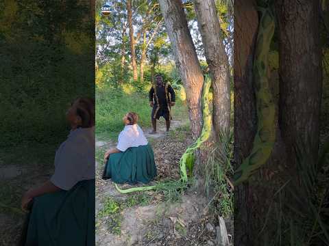 When the forest decides to surprise you… 😂🐍