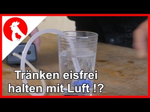 083 Geflügentränken eisfrei halten mit Sprudelstein!?? Teil1 -  Jensman and the Huhns