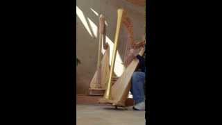 "Venus Baroque Lever Harp" - Musings