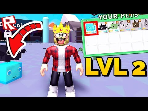 МОЙ НОВЫЙ ТОПОВЫЙ ПИТОМЕЦ! ROBLOX SIMULATOR