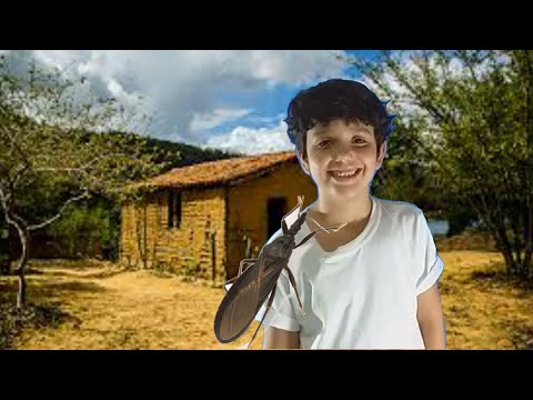 Hemipteros, a ordem dos barbeiros e das cigarras