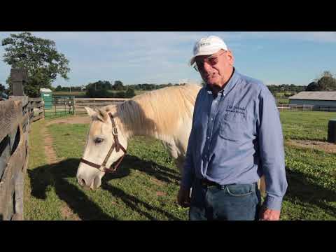 Old Friends Virtual Tour -Alphabet Soup & Gorgeous George 2020