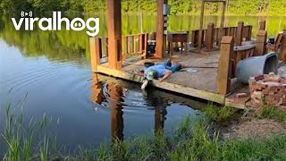 Bass Fish Caught By Hand || ViralHog