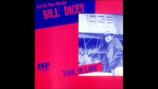 Bill Dicey - Fool in Love