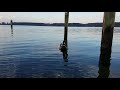 Vlc Record 2021 01 09 17h05m16s 20201212 153306 Mp4
