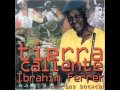 Ibrahim Ferrer con Los Bocucos - Ahora No Puedo