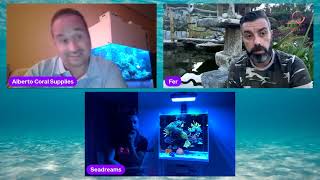 3 patas pa un reef (vol 1)